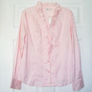 New! Cato Women's Pinstripe Button Down Shirt